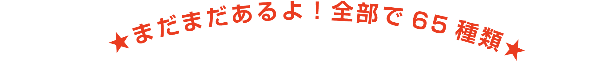 まだまだあるよ！全部で65種類