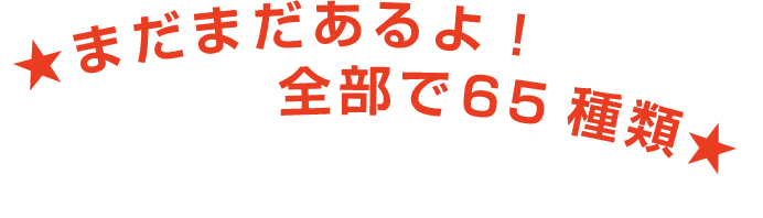 まだまだあるよ！全部で63種類